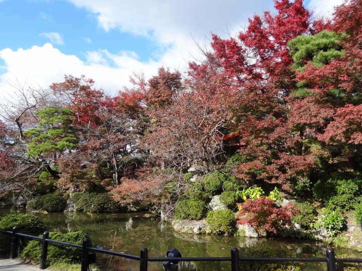 <日本>2011自私之日本行~清水寺岡本和服體驗、八坂神社、花見小路