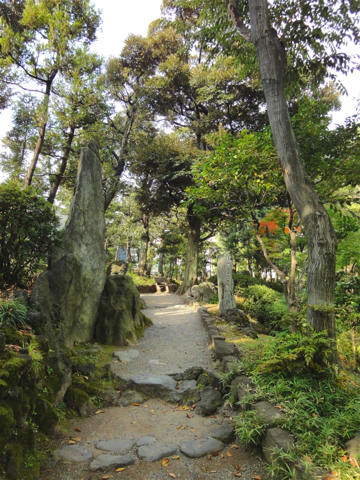 <日本>2009日本賞楓~自由之丘、花園稻荷神社、上野公園、兩國