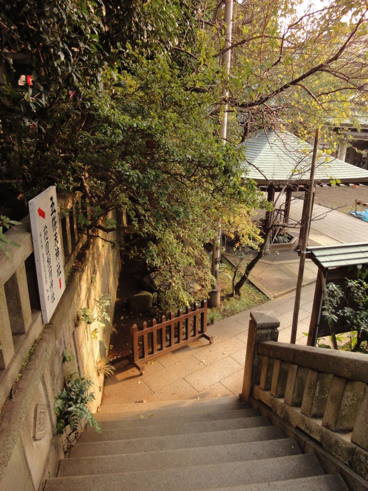 <日本>2009日本賞楓~自由之丘、花園稻荷神社、上野公園、兩國