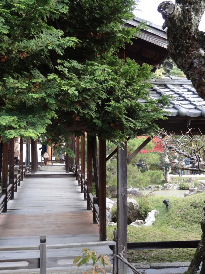 <日本>2011自私之日本行~清水寺岡本和服體驗、八坂神社、花見小路
