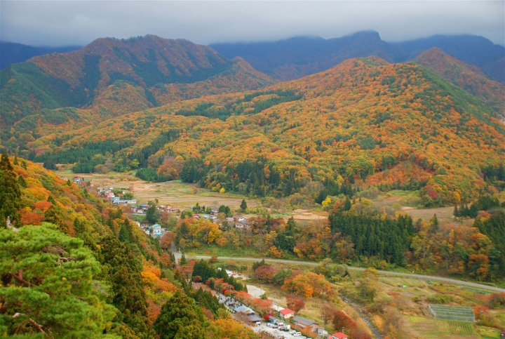 ＜日本＞2009日本賞楓～上野、山寺
