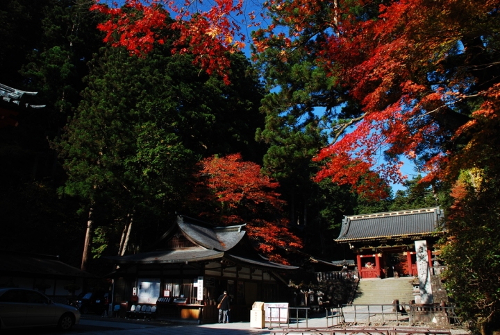 ＜日本＞2009日本賞楓～日光東照宮