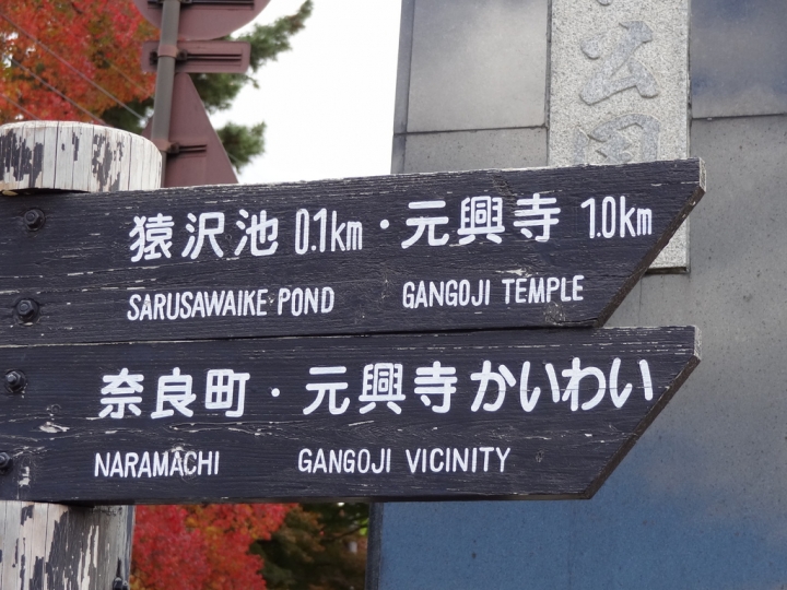 ＜日本＞2011自私之日本行~奈良、道頓堀