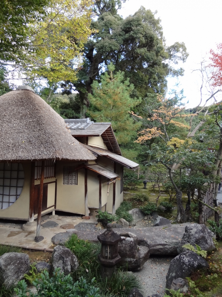 <日本>2011自私之日本行~清水寺岡本和服體驗、八坂神社、花見小路