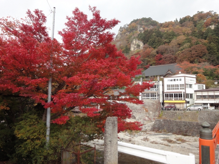 ＜日本＞2009日本賞楓～上野、山寺