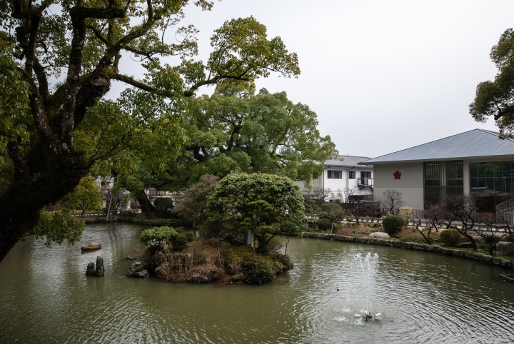 [日本北九州自助行]-福岡-太宰府天滿宮賞冬梅