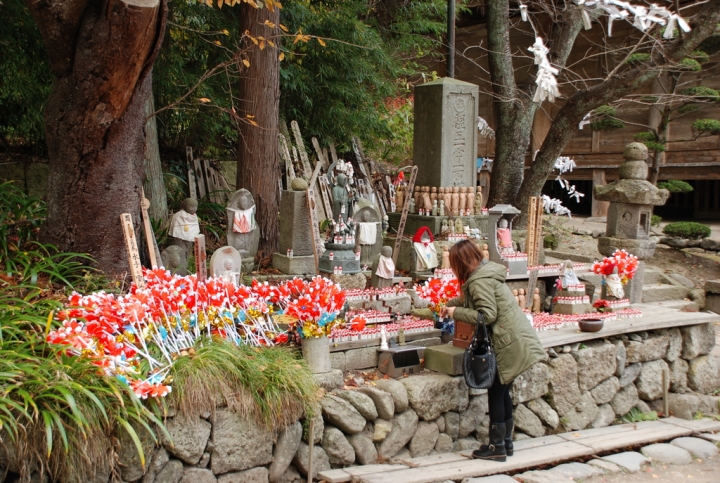 ＜日本＞2009日本賞楓～上野、山寺