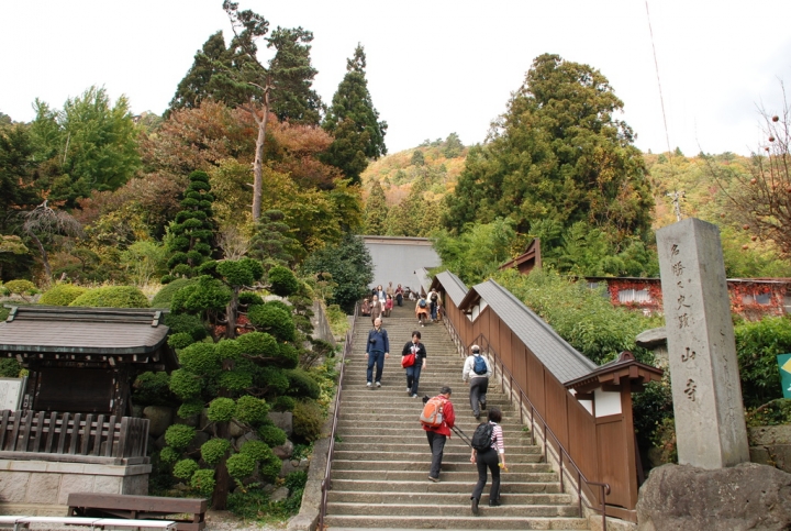 ＜日本＞2009日本賞楓～上野、山寺