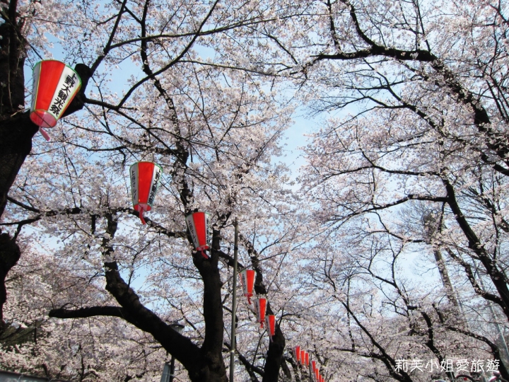 [美食] 日本 2017年賞櫻之東京上野恩賜公園欣賞櫻花飄雪 (上野站)