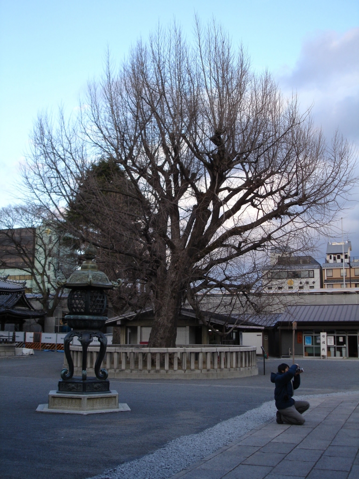 ＜日本＞2007日本～西本願寺、三十三間堂、清水寺、八坂神社等