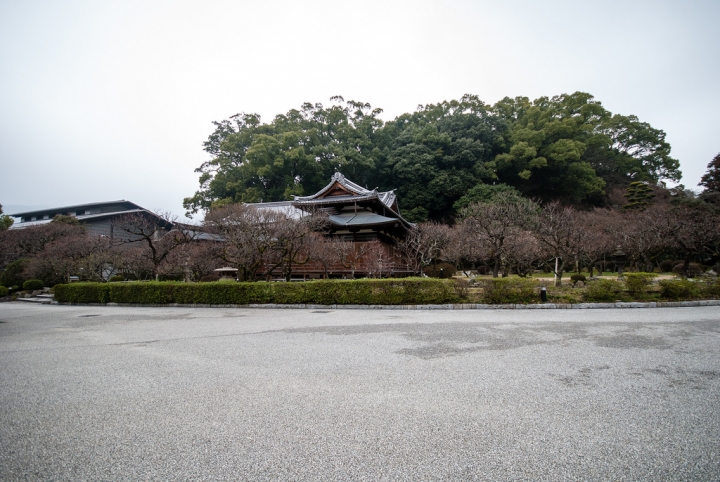 [日本北九州自助行]-福岡-太宰府天滿宮賞冬梅