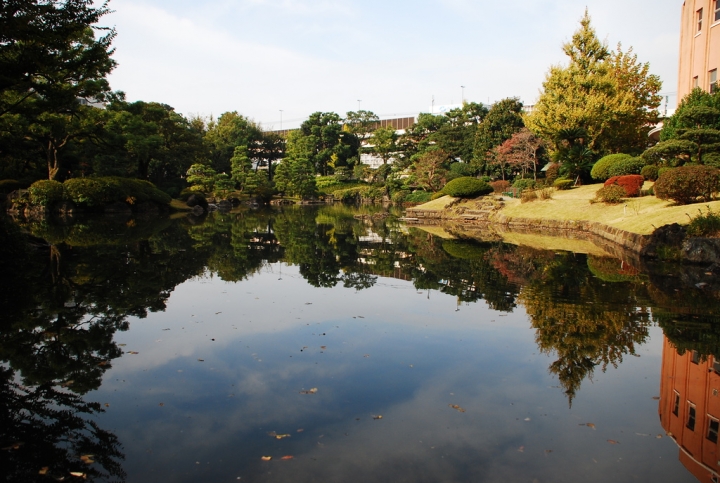 <日本>2009日本賞楓~自由之丘、花園稻荷神社、上野公園、兩國