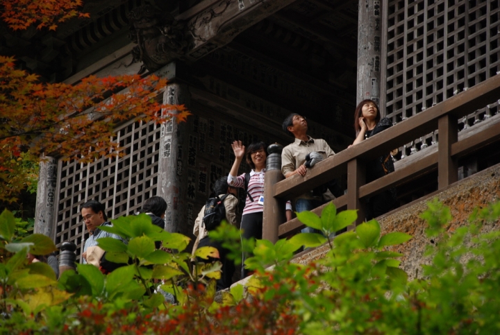 ＜日本＞2009日本賞楓～上野、山寺