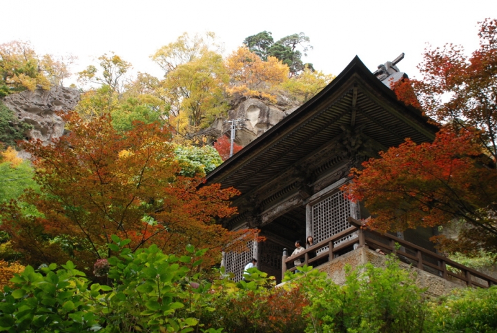 ＜日本＞2009日本賞楓～上野、山寺