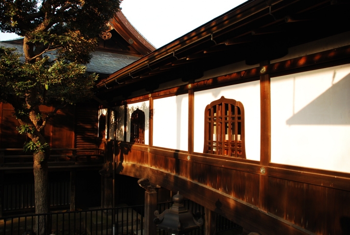 <日本>2009日本賞楓~自由之丘、花園稻荷神社、上野公園、兩國