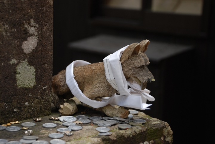 ＜日本＞2009日本賞楓～上野、山寺