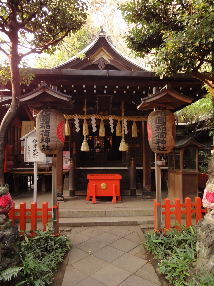 <日本>2009日本賞楓~自由之丘、花園稻荷神社、上野公園、兩國