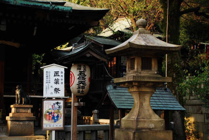<日本>2009日本賞楓~自由之丘、花園稻荷神社、上野公園、兩國