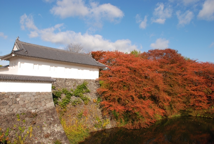 <日本>2009日本賞楓~面白山高原、霞城公園及仙台