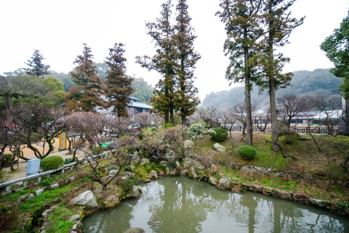 [日本北九州自助行]-福岡-太宰府天滿宮賞冬梅
