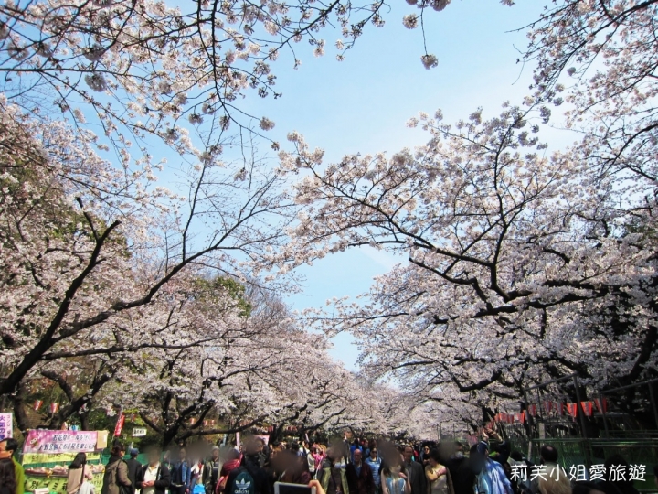 [美食] 日本 2017年賞櫻之東京上野恩賜公園欣賞櫻花飄雪 (上野站)