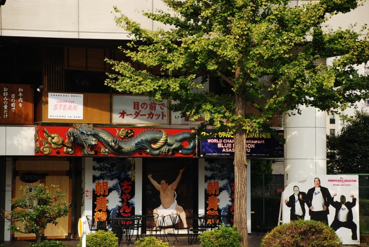 <日本>2009日本賞楓~自由之丘、花園稻荷神社、上野公園、兩國