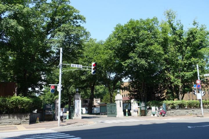 【2016北海道親子行】札幌市區景點。漫步在夏日綠意盎然的北海道大學校園