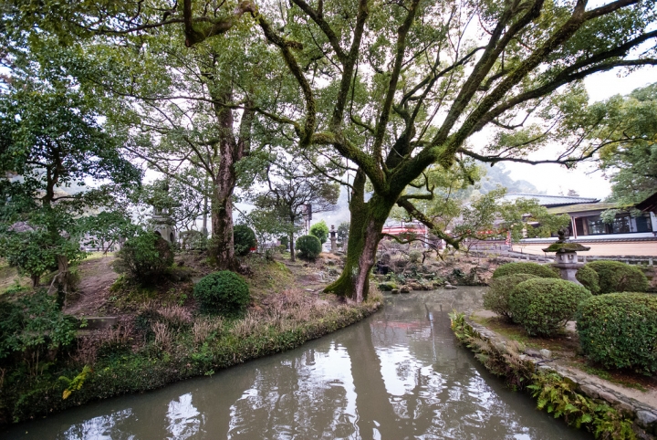 [日本北九州自助行]-福岡-太宰府天滿宮賞冬梅