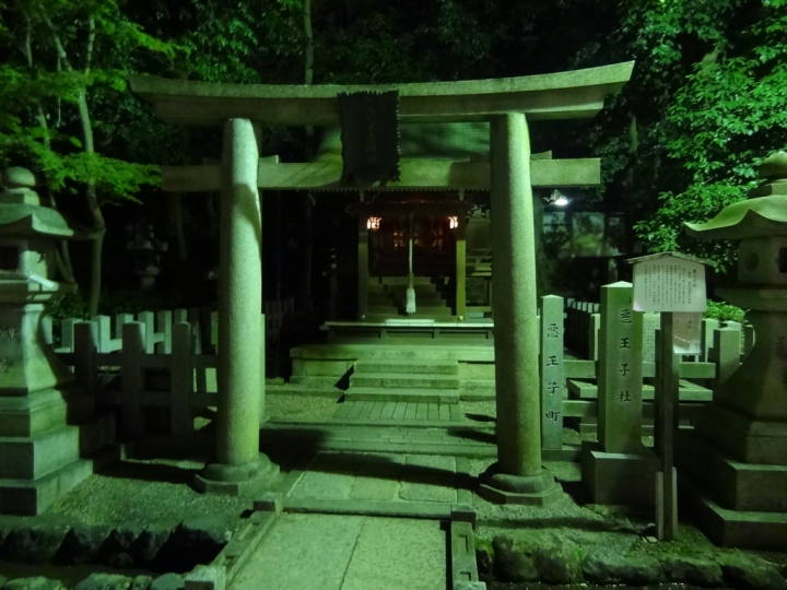 <日本>2011自私之日本行~清水寺岡本和服體驗、八坂神社、花見小路