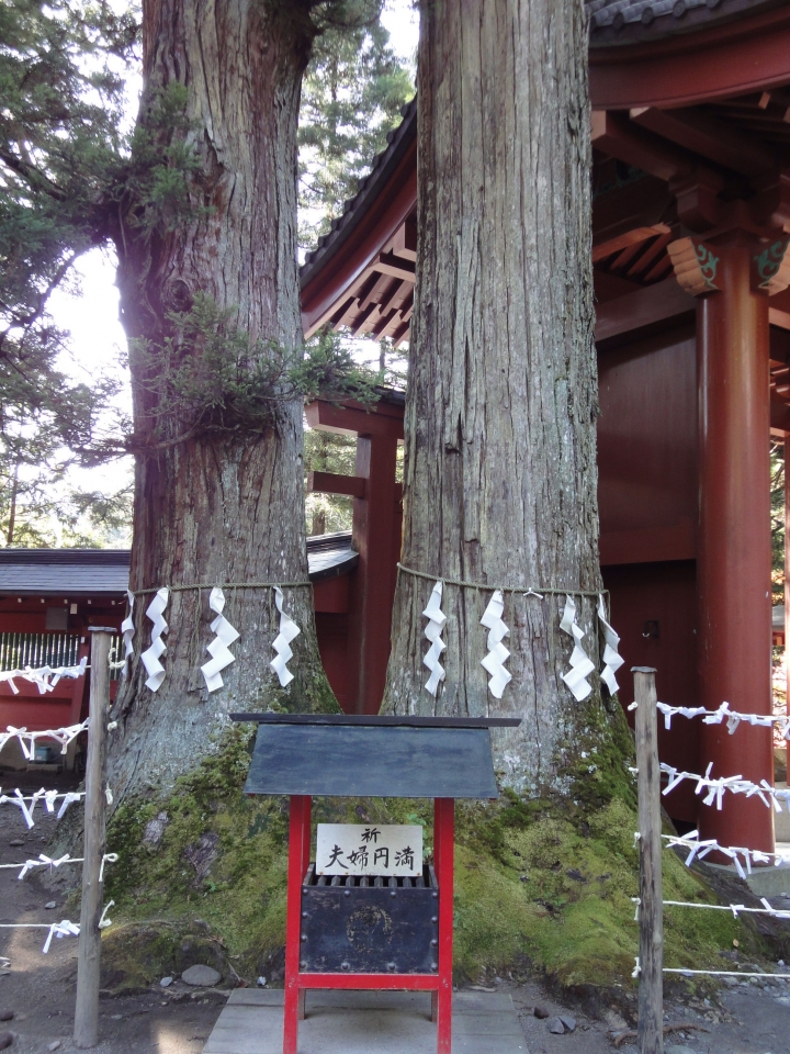 ＜日本＞2009日本賞楓～日光東照宮