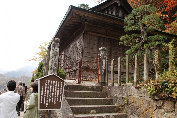＜日本＞2009日本賞楓～上野、山寺