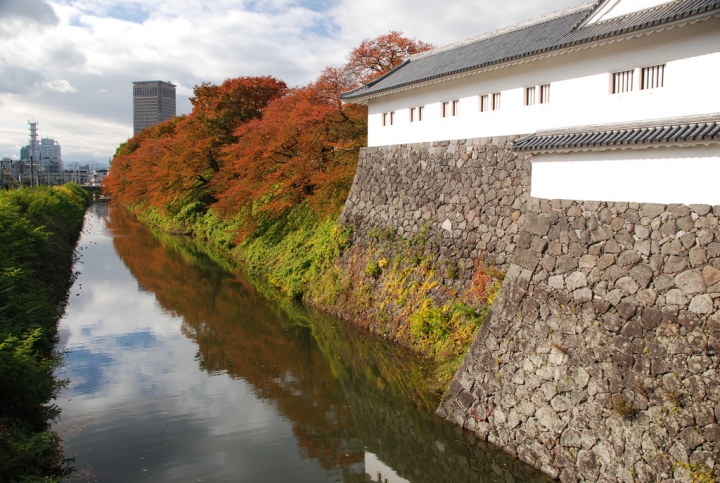 <日本>2009日本賞楓~面白山高原、霞城公園及仙台