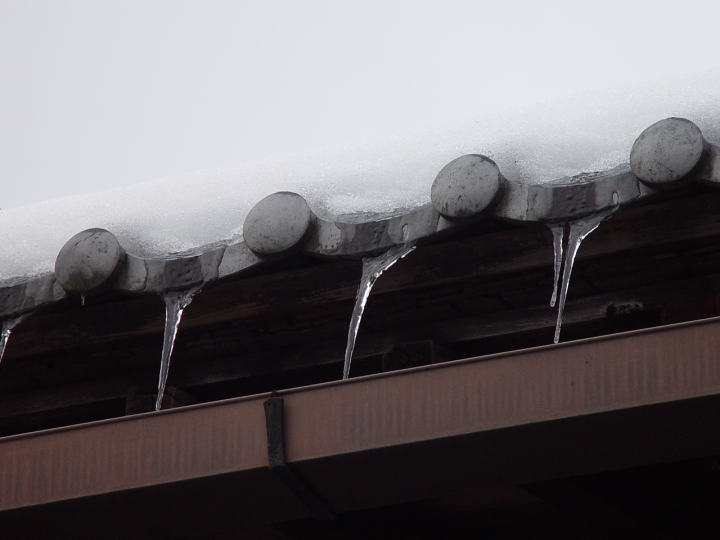 ＜日本＞2007日本～高山、宮川朝市