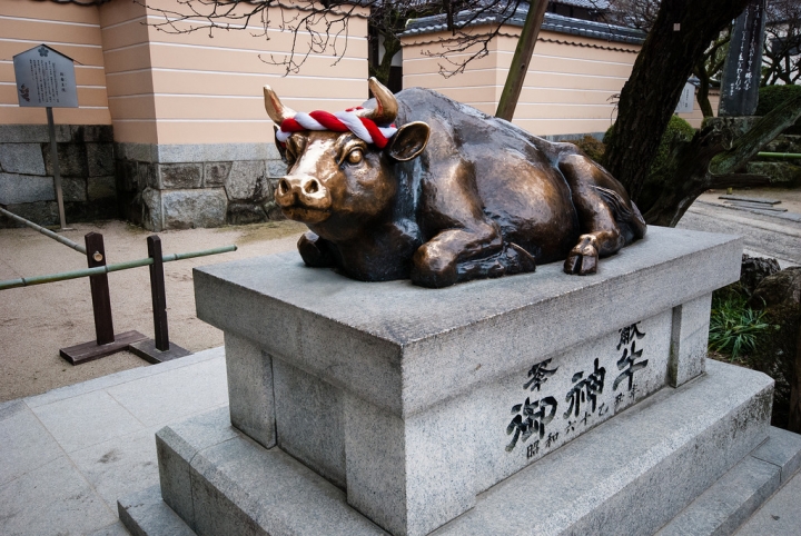 [日本北九州自助行]-福岡-太宰府天滿宮賞冬梅