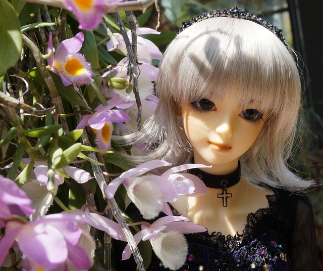 【BJD】收藏的娃兒們 -- 內含大量人型照喔，不喜勿入>///< 不定時更新中XD