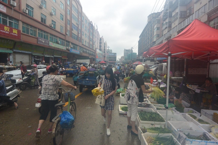 環~台灣海峽