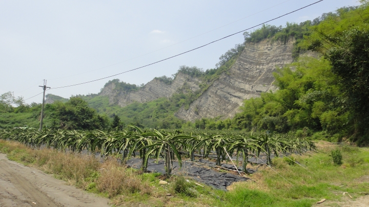 「神鵝瞎旅」霧峰山南山北走一回 之 南段 上集[往條子杯杯打槍的地方走]