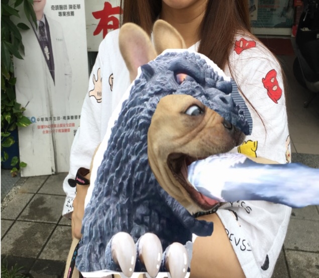 毛孩(法鬥)梗圖，請各路大大不吝指教
