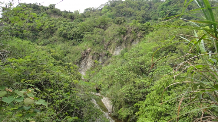 「神鵝瞎旅」霧峰山南山北走一回 之北段 下集[發現桐林村之美]