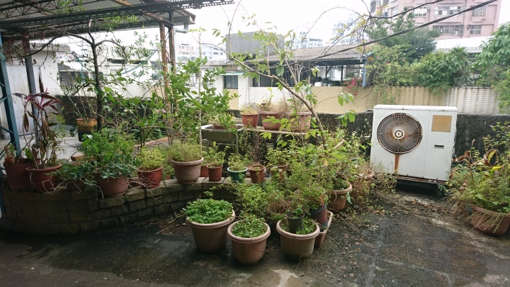 屋簷牆壁漏水處理方式建議