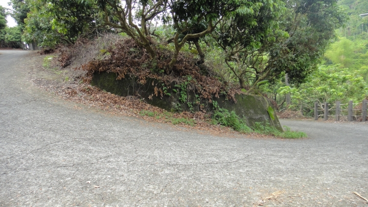 「神鵝瞎旅」霧峰山南山北走一回 之北段 下集[發現桐林村之美]