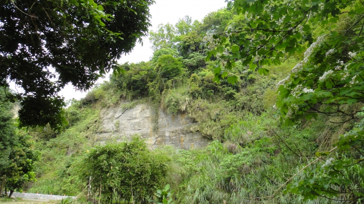 「神鵝瞎旅」霧峰山南山北走一回 之北段 下集[發現桐林村之美]