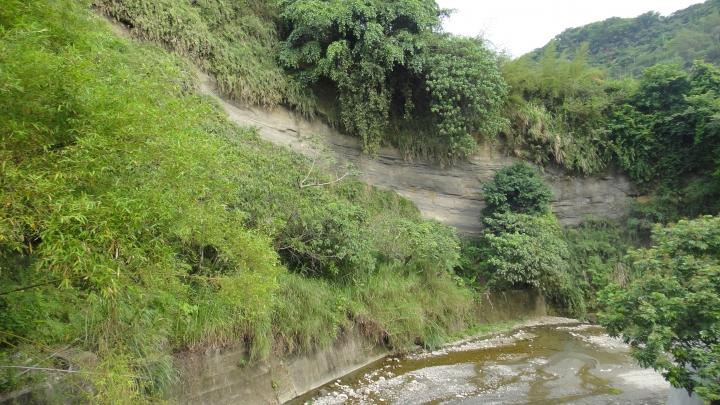 「神鵝瞎旅」霧峰山南山北走一回 之北段 下集[發現桐林村之美]