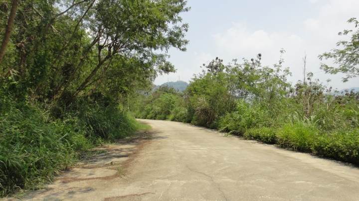 「神鵝瞎旅」霧峰山南山北走一回 之 南段 上集[往條子杯杯打槍的地方走]