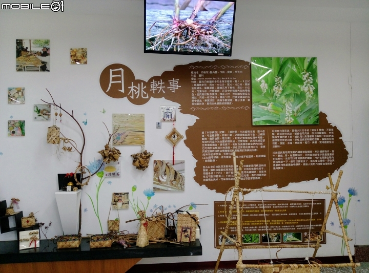 嘉義市月桃故事館5月6號