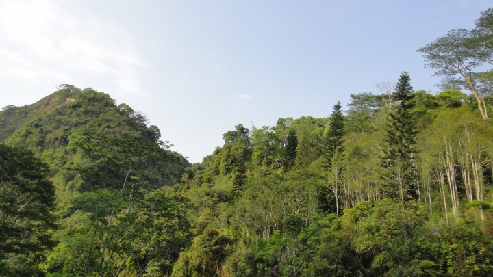 「神鵝瞎旅」霧峰山南山北走一回 之北段 下集[發現桐林村之美]