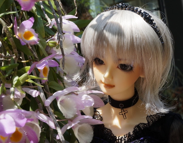 【BJD】收藏的娃兒們 -- 內含大量人型照喔，不喜勿入>///< 不定時更新中XD