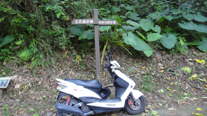 「神鵝瞎旅」霧峰山南山北走一回 之北段 下集[發現桐林村之美]
