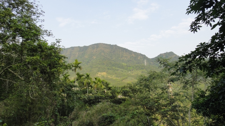 「神鵝瞎旅」霧峰山南山北走一回 之北段 下集[發現桐林村之美]