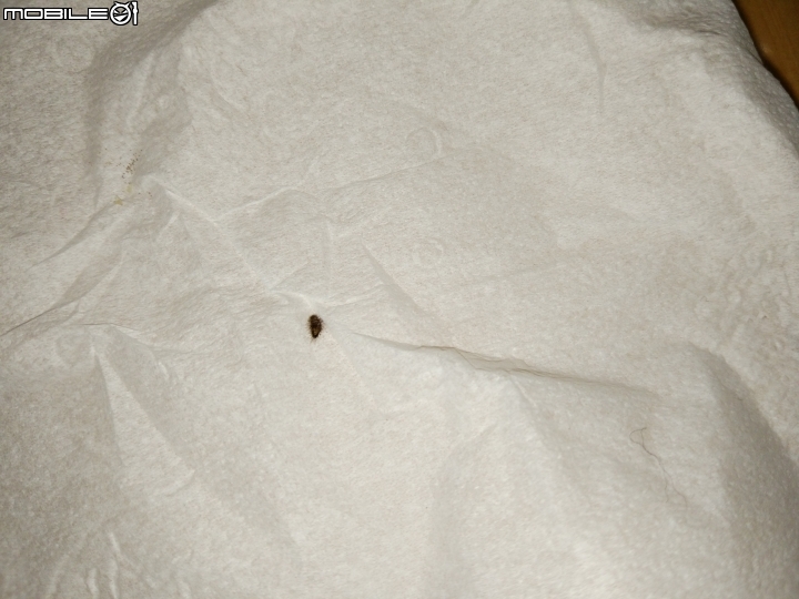 這是甚麼蟲? (打掃家裡看到 ... 驚!!!)